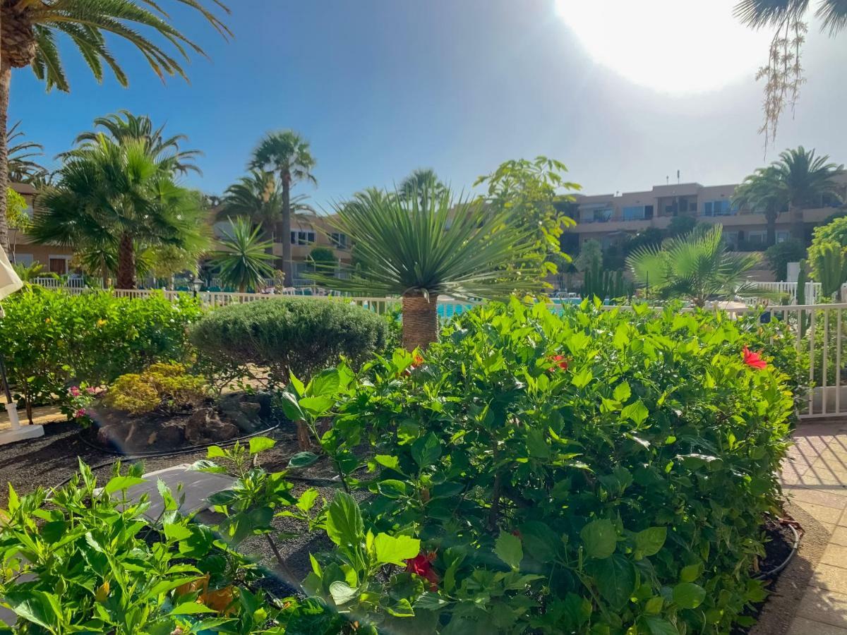 Apartahotel La Primera Duna - Residencial Dunas *